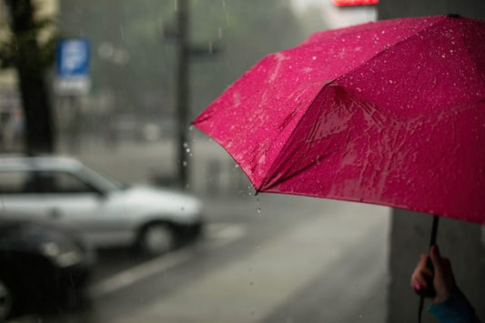 Umbrella SZN Is Among Us